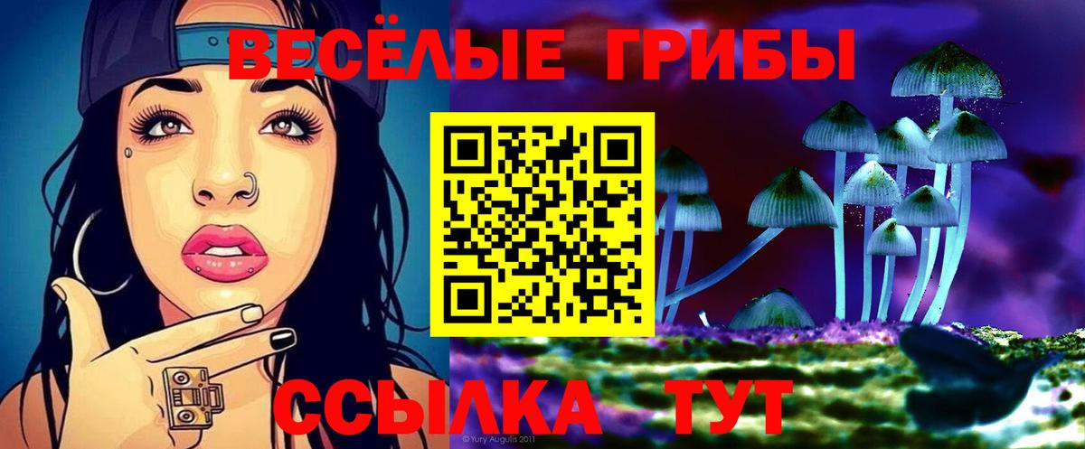 Псилоцибиновые грибы прущие грибы  Псилоцибиновые грибы Psilocybine cubensis  Вход с VPN  Курчатов 